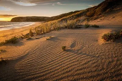 sand muru by sue hancock