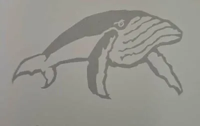 whale 