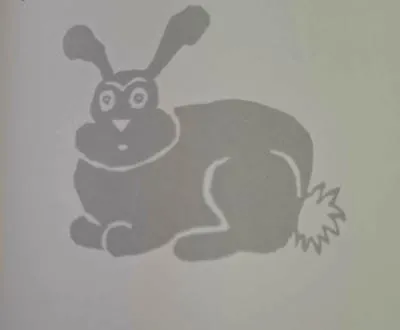 rabbit 