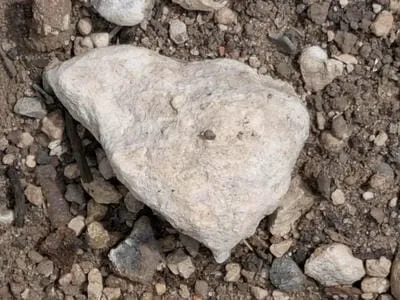stone.jpg 