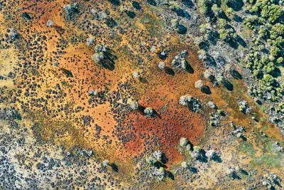 swamp near warooka gayara by adam meyer